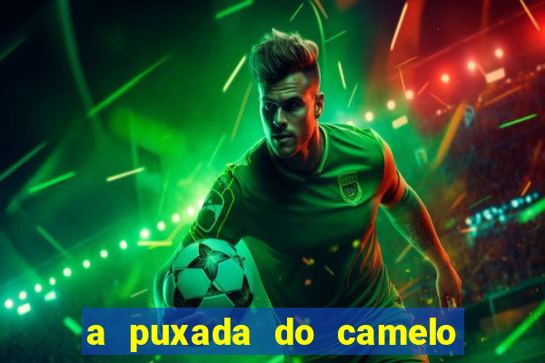 a puxada do camelo no jogo do bicho